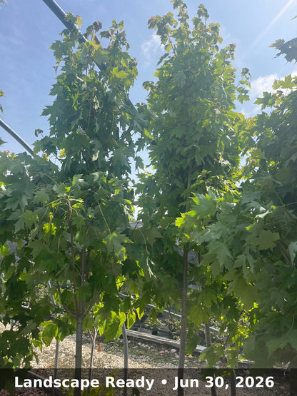 Landscape Ready — Jun 30, 2026