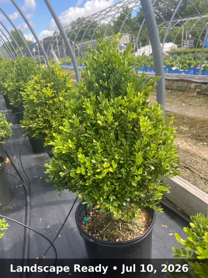 Landscape Ready — Jul 10, 2026